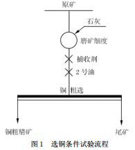 选铜实验流程图