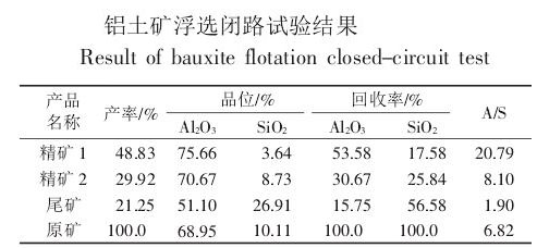 铝矾土矿矿石性质及工艺